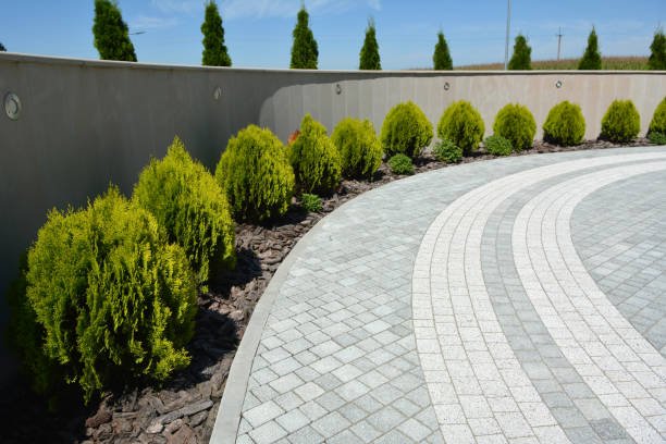 Best Affordable Driveway Paving  in El Paso, TX